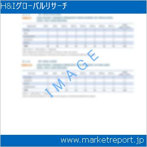 市場と産業調査レポートのイメージ